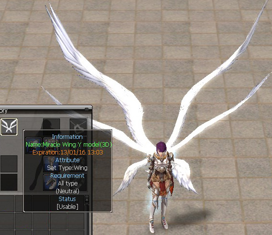 Miracle Wing Y model(3D)