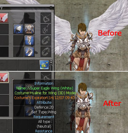 Hyaline for Wing (3D) Model Box